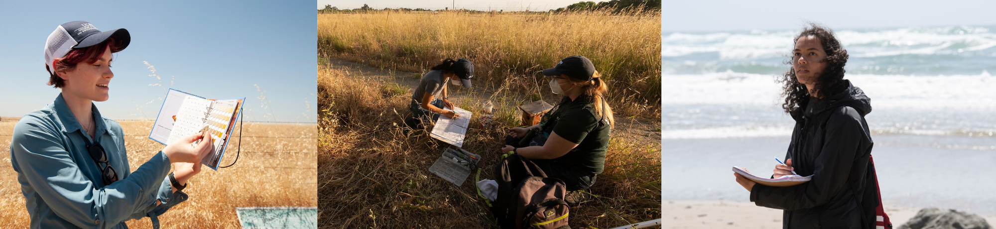 Collage of three images. Left image features a student outside on a field holding up a journal. Middle photo shows two students in a field writing in their books. The right photo shows a woman looking to the distance while writing on a piece of paper in front of an ocean.