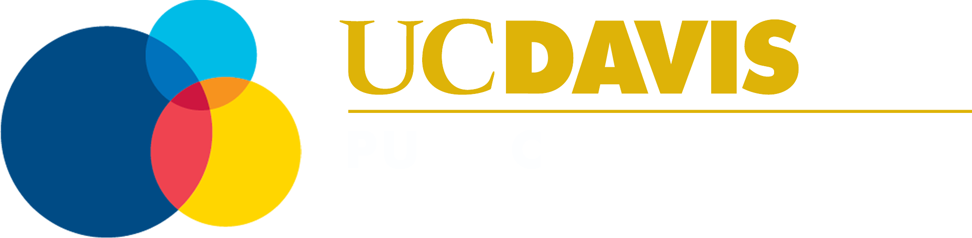 Public Scholarship and Engagement