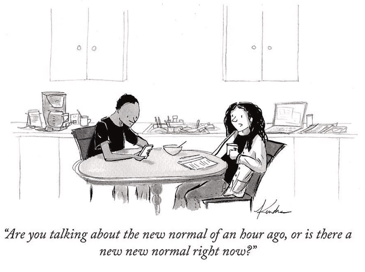 Comic that reads "Are you talking about the new normal of an hour ago, or is there a new normal right now?" or 