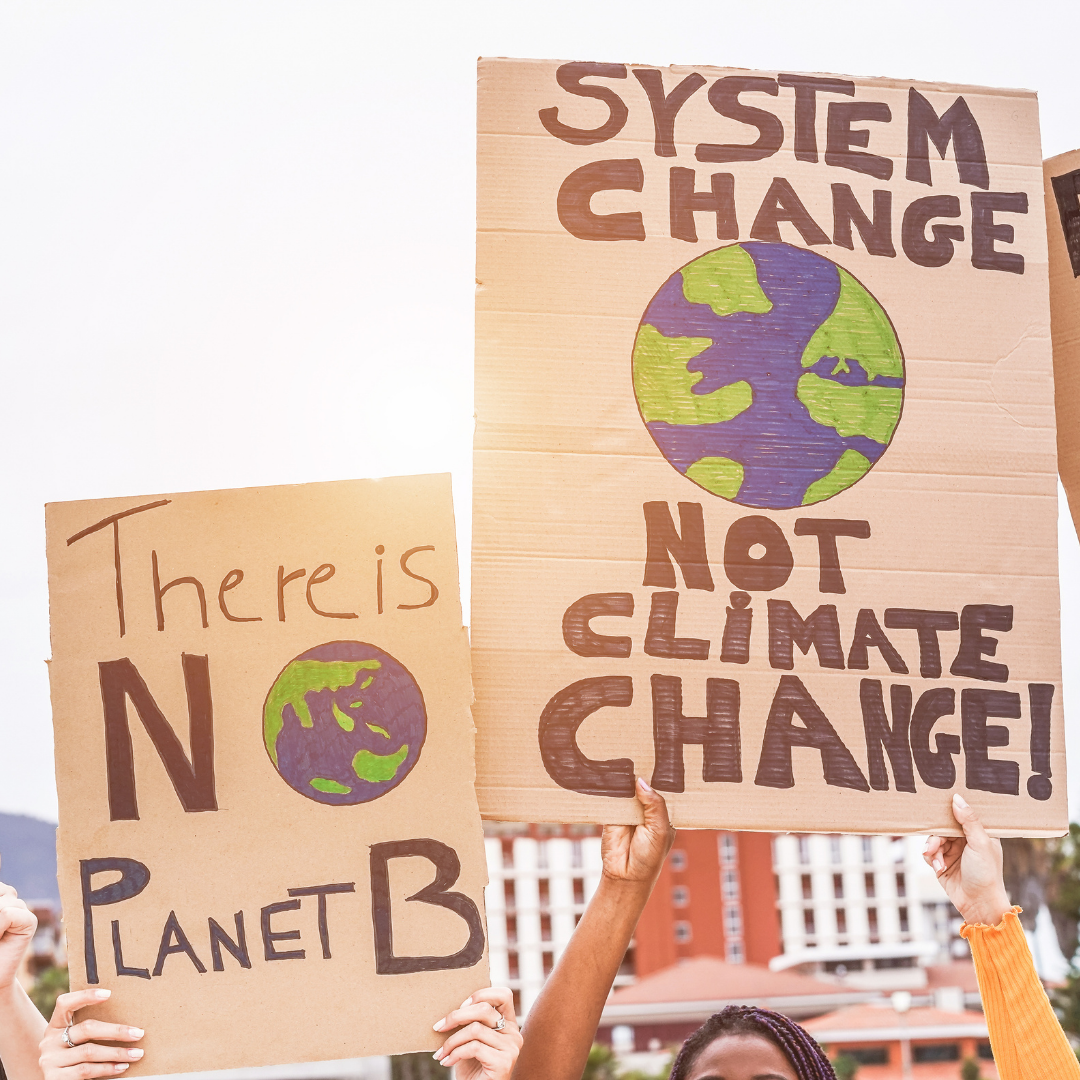 protest signs that read System Change Not Climate Change and There Is No Planet B