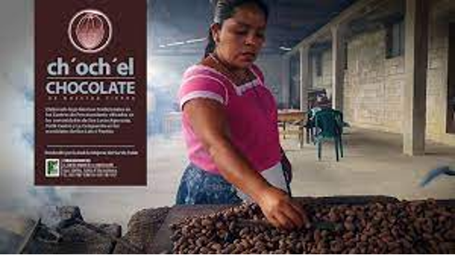 A poster of a woman grabbing cacao with the text “ch’och’el chocolate”