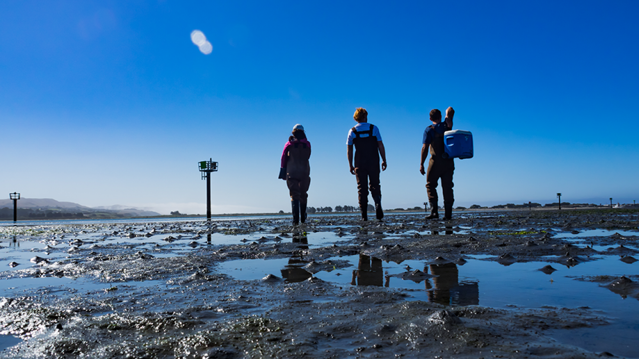 three people walking across wet ground with a blue sky 