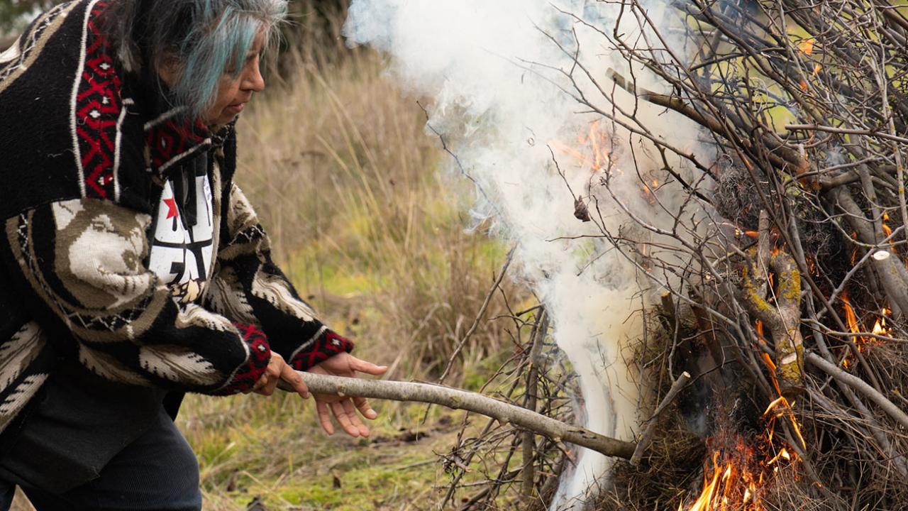 Diana Almendariz of the Maidu/Patwin tribes sets fire to a redbud pile, a plant used in Native American basketry, during the Tending and Gathering Garden Indigenous Fire Workshop in Woodland. (Alysha Beck/UC Davis) a woman burning a mass of sticks
