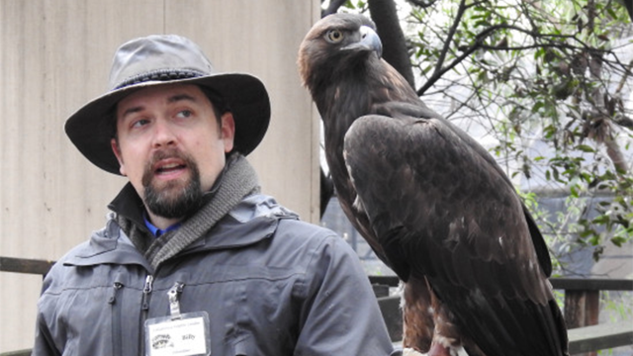 man holding a golden eagle