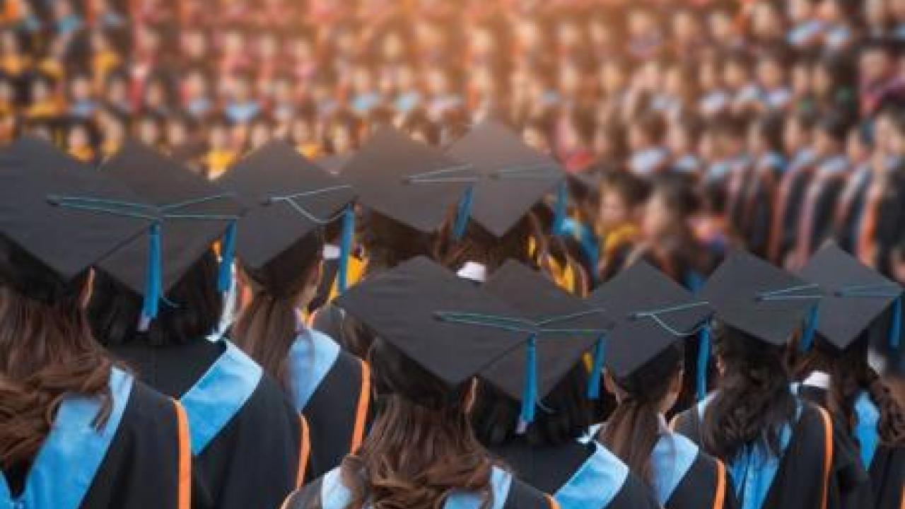 grad caps from behind