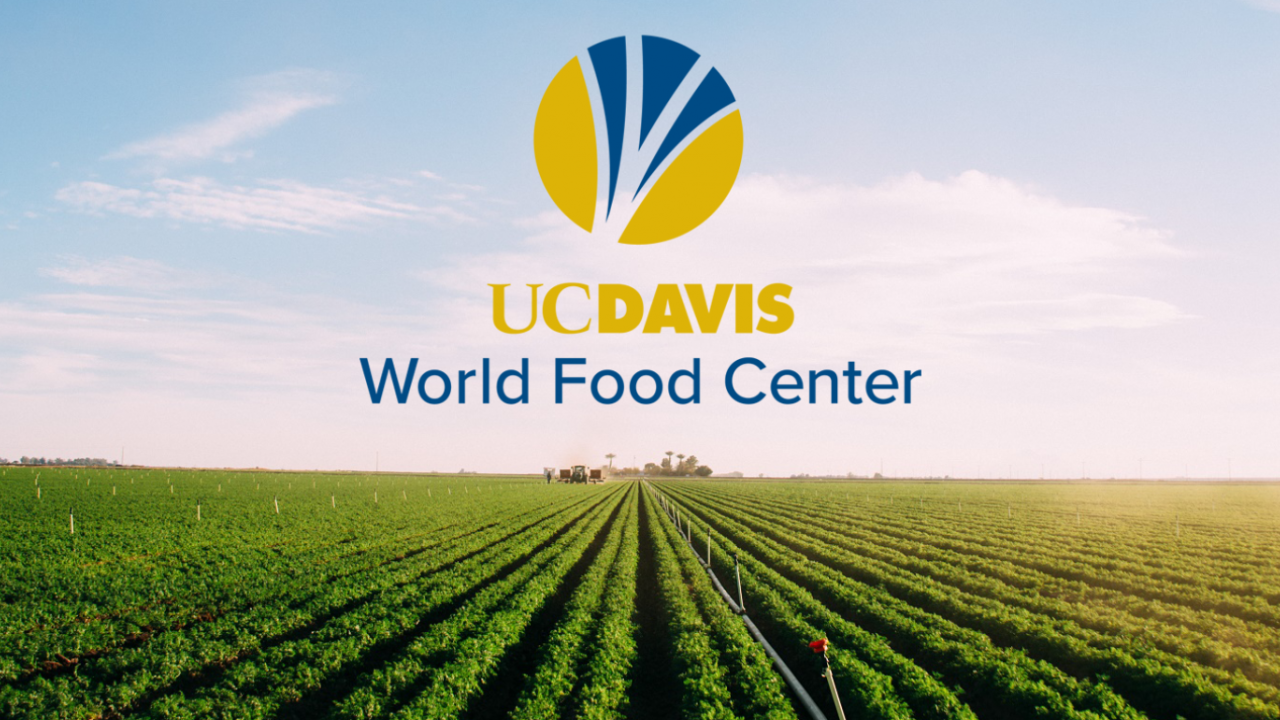 world food center