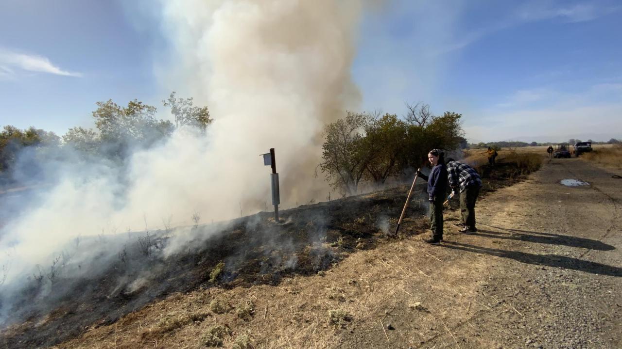 Photo of people standing at a controlled burn