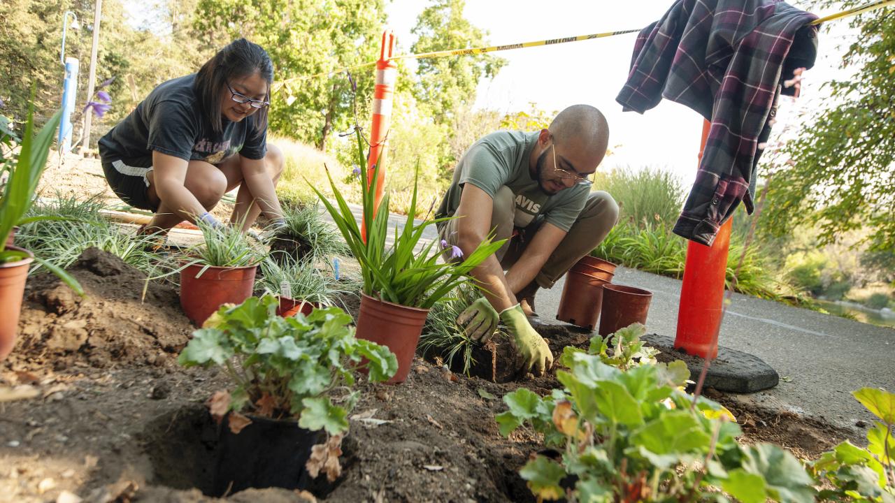 Students on the ground planting in a garden