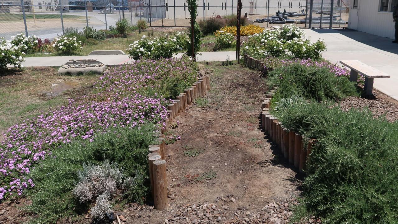 Garden at Avenal, with blooming shrubs framing a dirt path ending with a vine-covered archway. A cell block stands behind the garden, which is surrounded by 10 foot chain-link fence topped with razor wire.