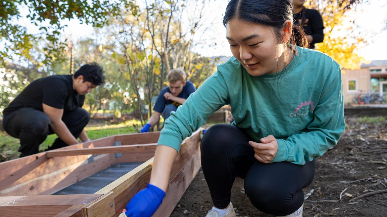 Four people outdoors at the UC Davis Student Farm building a worm composter from wood.