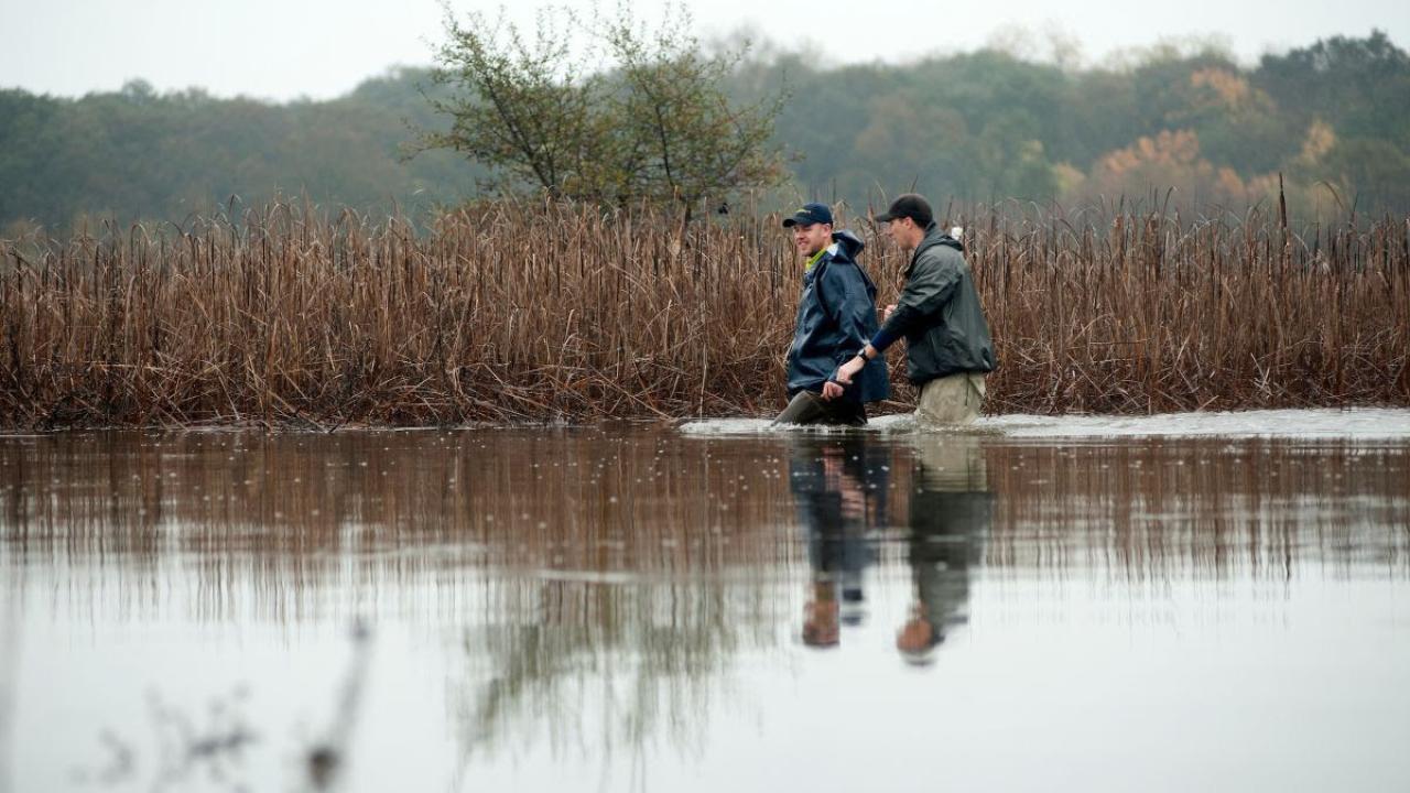 Two people walking through thigh-deep water in a marsh