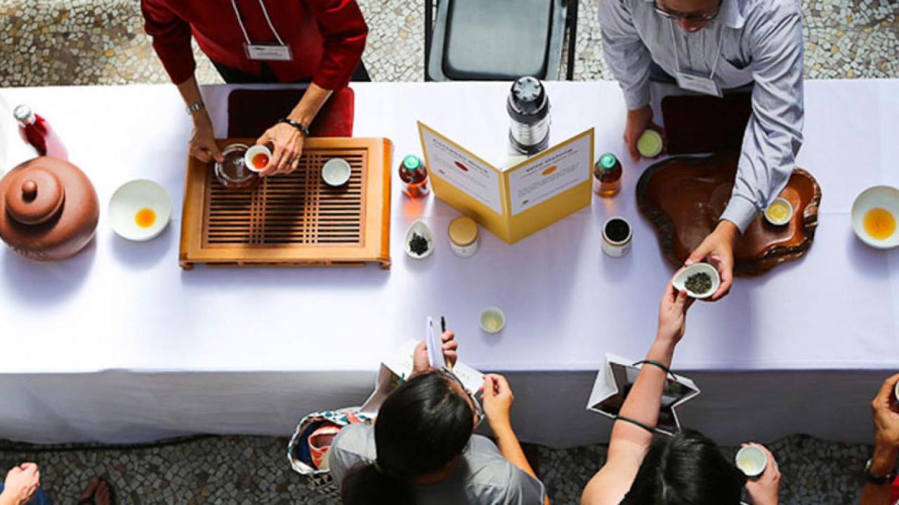 Aerial view of a group of professionals outside serving and drinking tea around a long table