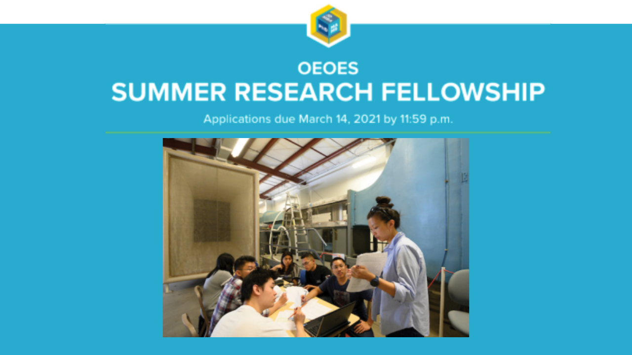 Flyer for OEOES Summer Research Fellowship stating expectations and objectives with an image of a teacher showing a picture to a group of students