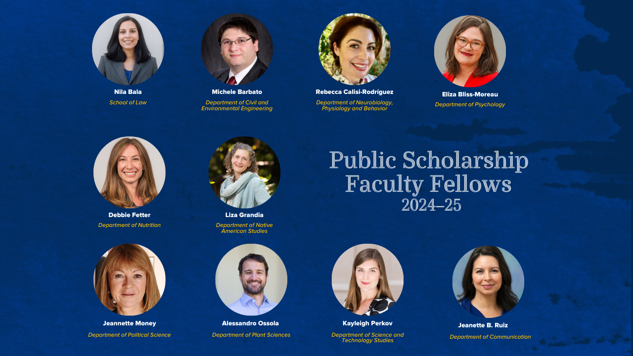 Graphic with blue background and photos of 10 people in circle frames. Text reads: Public Scholarship Faculty Fellows 2024-25.