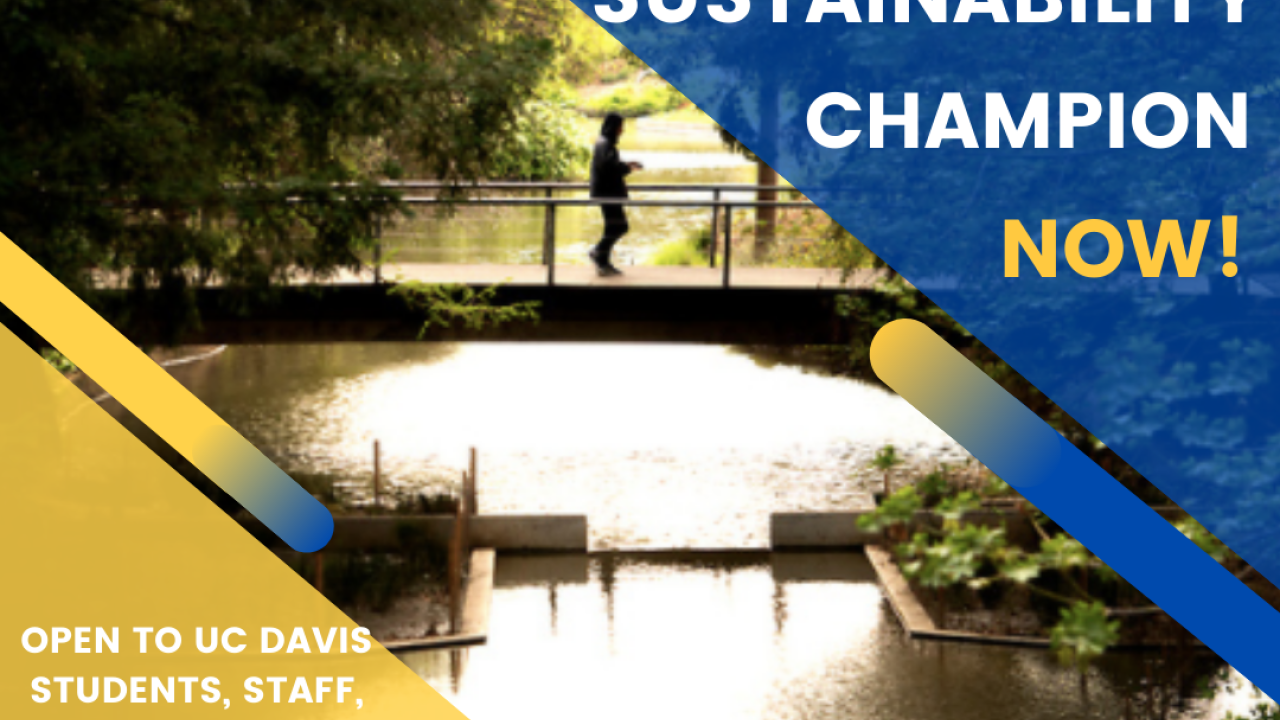 Graphic with the text "Nominate a Sustainability Champion Now!" and "Open to UC Davis Students, Staff, Faculty, or Academic Staff"