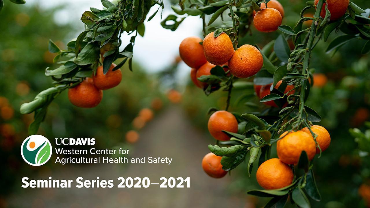 orange grove with text: Western Center for Agricultural Health and Safety Seminar Series 2020-21