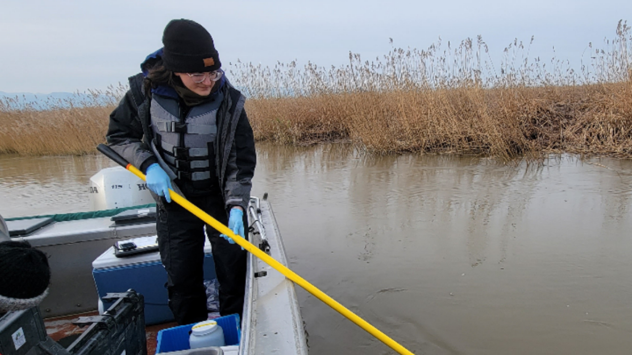 A person on a boat collecting water samples.