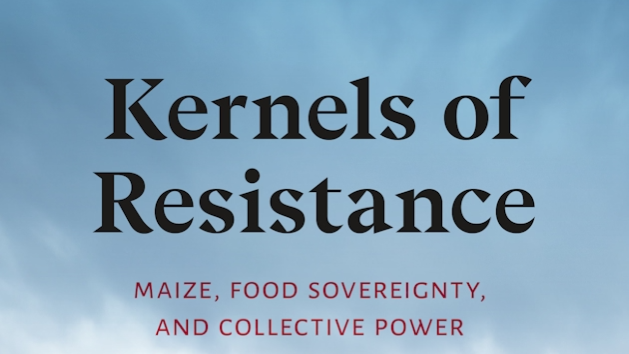 Kernels of Resistance book cover