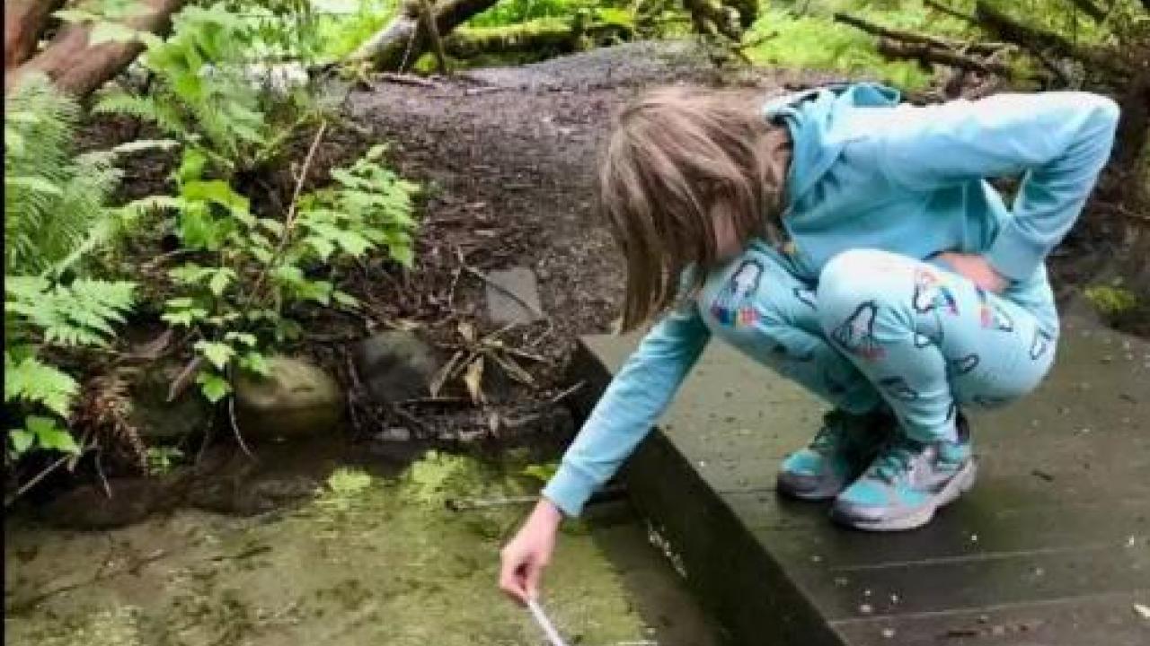 A little girl standing on a bridge leaning over into a creek
