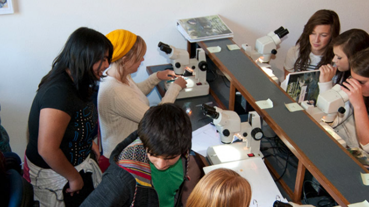 a group of teenagers in a lab setting looking through microscopes