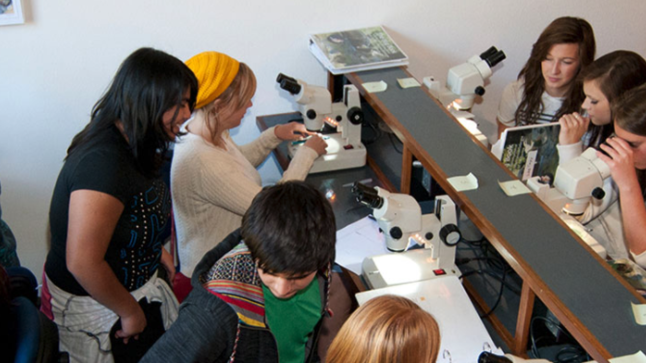 a group of teenagers in a lab setting looking through microscopes