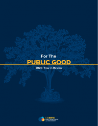 year in review thumbnail with the text "For the Public Good". A design of a tree and a bike is featured behind the text.