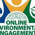 online environmental engagement