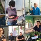 Collage of people in different research situations, labs, greenhouses, etc.