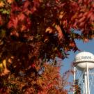 Autumn colors of red and yellow can seen in the trees that frame the UC Davis Water Tower.