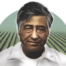 Illustration of Cesar Chavez's face in front of a circle green background