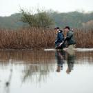 Two people walking through thigh-deep water in a marsh