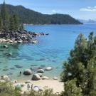 View of Lake Tahoe clear blue cove surrounded by pine trees on sunny summer day