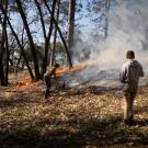 An orange flame circles a meadow with smoke as six people stand scattered throughout a wooded property during prescribed burn