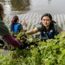 Students in the Arboretum on a floating island reaching for plants