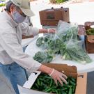 a man in a mask and a hat preparing a box of vegetables