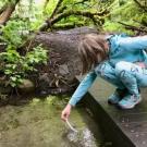 A little girl standing on a bridge leaning over into a creek