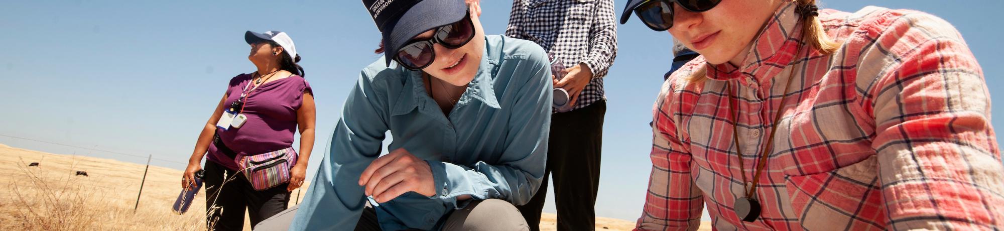 Two students look down at a shared piece of paper. They are both wearing sunglasses and a UC Davis hat labeled "College of Agricultural and Environmental Sciences". 